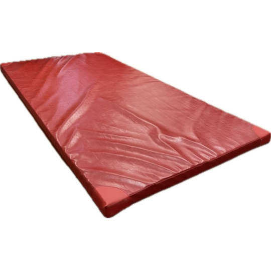 Gymnastická žiněnka ALLPROLINE 200 x 100 x 5 cm T80 + vystužené rohy - červená Gymnastická žiněnka ALLPROLINE 200 x 100 x 5 cm T80 + vystužené rohy - červená