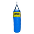 Boxersky mech ALLRIGHT 90x30cm BLUE