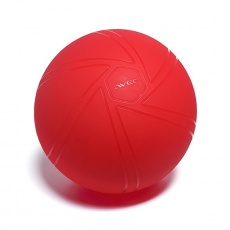 Gymnastický míč AVEC PRO 55 cm 