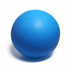 Gymnastický míč AVEC PRO 65 cm 