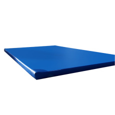 Gymnastická žiněnka ALLHOMELINE 200 x 100 x 10 cm T25 protiskluz + vystužené rohy - modrá