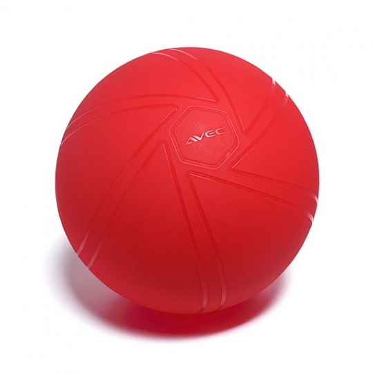 Gymnastický míč AVEC PRO 55 cm 
